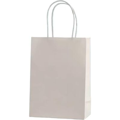 LUYSGBXR Lot de 10/30 sacs de fête en papier kraft pour fêtes, anniversaires, mariages, courses (gris clair, 10 pièces_21 x 14 x 27 cm) LUYSGBXR Lot de 10/30 sacs de fête en papier kraft pour fêtes, anniversaires, mariages, courses (gris clair, 10 pièces_21 x 14 x 27 cm)