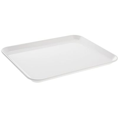 neoLab 2 3851 Instrumental Plateau en mélamine 27 x 21 cm x 2 cm neoLab 2 3851 Instrumental Plateau en mélamine 27 x 21 cm x 2 cm