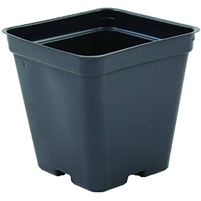 Grower's Solution Lot de 450 pots de serre carrés en plastique Noir 8,9 x 8,9 cm Grower's Solution Lot de 450 pots de serre carrés en plastique Noir 8,9 x 8,9 cm