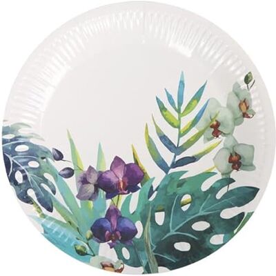Algon Lot de 12 assiettes jetables – Assiettes jetables taille 18 cm, résistantes et écologiques, idéales pour les fêtes, événements et réunions Algon Lot de 12 assiettes jetables – Assiettes jetables taille 18 cm, résistantes et écologiques, idéales pour les fêtes, événements et réunions