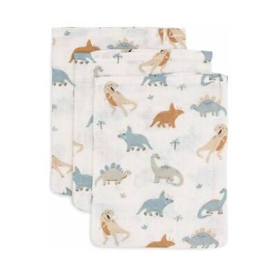 Jollein 536-848-67100 Lot de 3 gants de toilette Motif dinosaure Roarsome (15 x 20 cm) Jollein 536-848-67100 Lot de 3 gants de toilette Motif dinosaure Roarsome (15 x 20 cm)