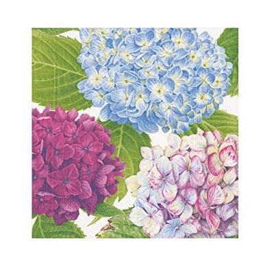 Caspari Entertaining with 14410C Serviette en papier Motif hortensia Bleu 12,7 x 12,7 x 3 cm Caspari Entertaining with 14410C Serviette en papier Motif hortensia Bleu 12,7 x 12,7 x 3 cm