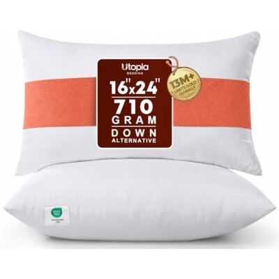 Utopia Bedding Lot de 2 coussins décoratifs d'intérieur pour canapé, lit et divan 40,6 x 61 cm Blanc Utopia Bedding Lot de 2 coussins décoratifs d'intérieur pour canapé, lit et divan 40,6 x 61 cm Blanc