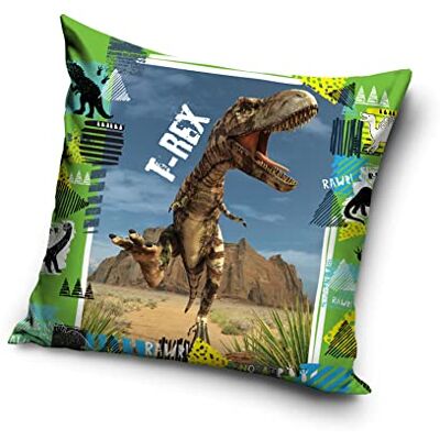 Une T-Rex TREX203004 Housse de coussin Motif dinosaures 40 x 40 cm Une T-Rex TREX203004 Housse de coussin Motif dinosaures 40 x 40 cm