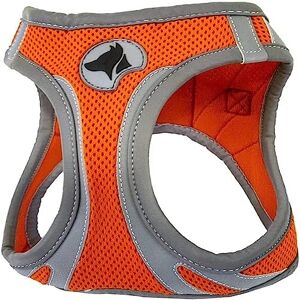 Harnais pour chien orange XL de Croci - Réfléchissant, Réglable, Rembourré Harnais pour chien orange XL de Croci - Réfléchissant, Réglable, Rembourré