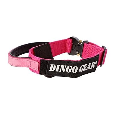 DINGO GEAR WWW.DINGOGEAR.COM 1977 Dingo Gear S03928 Cobra Collier pour chien avec boucle de sécurité professionnelle, poignée solide et étiquette attachée avec fermeture Velcro, pour dressage de défense, tâches spéciales, tour de cou DINGO GEAR WWW.DINGOGEAR.COM 1977 Dingo Gear S03928 Cobra Collier pour chien avec boucle de sécurité professionnelle, poignée solide et étiquette attachée avec fermeture Velcro, pour dressage de défense, tâches spéciales, tour de cou