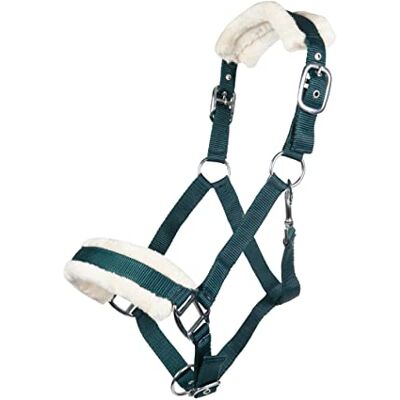 HKM Posten licol 11796 vert foncé sang chaud, 5900 vert foncé HKM Posten licol 11796 vert foncé sang chaud, 5900 vert foncé