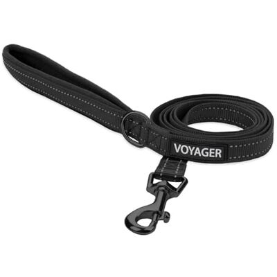 Best Pet Supplies Voyager Laisse réfléchissante pour chien avec poignée en néoprène, 1,8 m de long, prend en charge les chiots de petite, moyenne et grande race, mignonne et robuste pour la marche, la course et le Best Pet Supplies Voyager Laisse réfléchissante pour chien avec poignée en néoprène, 1,8 m de long, prend en charge les chiots de petite, moyenne et grande race, mignonne et robuste pour la marche, la course et le