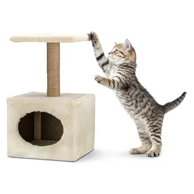 AQPETFRIENDS Oslo Griffoir Sisal 35cm - Griffoir pour Chat AQPETFRIENDS Oslo Griffoir Sisal 35cm - Griffoir pour Chat
