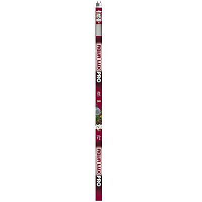ICA AXP10 Fluorescent T8 Aqua Lux Pro ICA AXP10 Fluorescent T8 Aqua Lux Pro