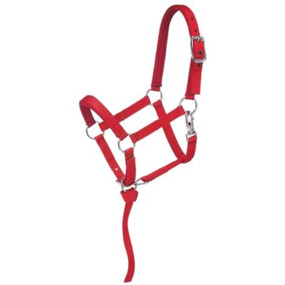 Tough 1 résistant 1 en Nylon rembourré Licou de Miniature, Red, Petit Tough 1 résistant 1 en Nylon rembourré Licou de Miniature, Red, Petit