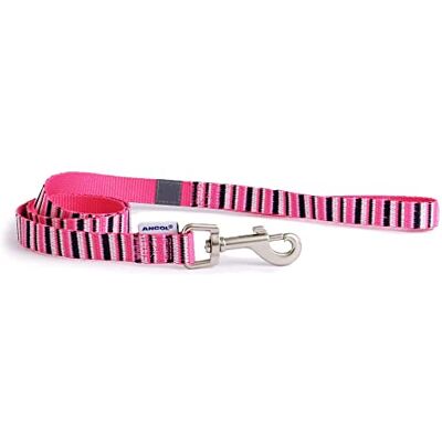 Ancol Rayure en plomb Rose vif 1 m x 1,9 cm Ancol Rayure en plomb Rose vif 1 m x 1,9 cm