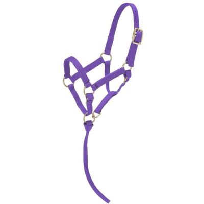 Tough 1 Licol miniature en nylon Violet Taille L Tough 1 Licol miniature en nylon Violet Taille L