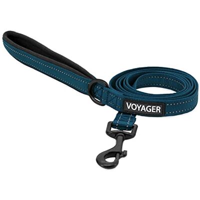 Best Pet Supplies Voyager Laisse réfléchissante pour chien avec poignée en néoprène, 1,8 m de long, convient aux chiots de petite, moyenne et grande race, mignonne et robuste pour la marche, la course et le dressage – Best Pet Supplies Voyager Laisse réfléchissante pour chien avec poignée en néoprène, 1,8 m de long, convient aux chiots de petite, moyenne et grande race, mignonne et robuste pour la marche, la course et le dressage –