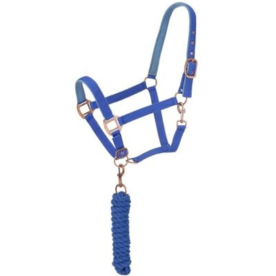 Tough 1 Licol rembourré en néoprène avec quincaillerie couleur antique et longe, bleu roi Tough 1 Licol rembourré en néoprène avec quincaillerie couleur antique et longe, bleu roi