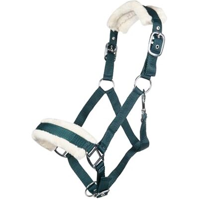 HKM 11796 Licol évêque, rembourrage en peluche, licol de chevaux, vert foncé, plein sang HKM 11796 Licol évêque, rembourrage en peluche, licol de chevaux, vert foncé, plein sang