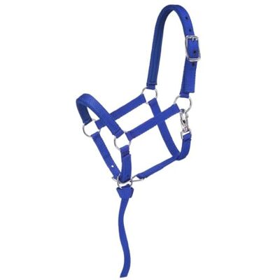 Tough 1 résistant 1 en Nylon rembourré Licou de Miniature, Bleu/Bleu Roi, Moyen Tough 1 résistant 1 en Nylon rembourré Licou de Miniature, Bleu/Bleu Roi, Moyen