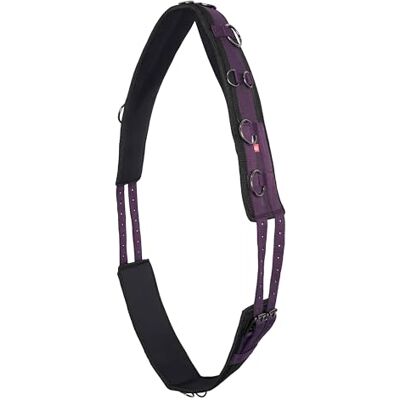Imperial Riding IRH Deluxe Extra Ceinture de longe ergonomique avec sans garrot et anneaux en métal, mûre, cob Imperial Riding IRH Deluxe Extra Ceinture de longe ergonomique avec sans garrot et anneaux en métal, mûre, cob