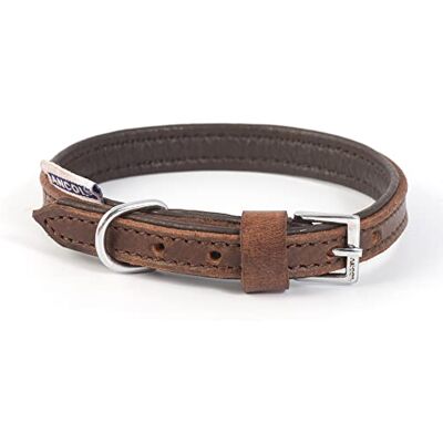 Ancol Collier pour chien en cuir rembourré vintage robuste fabriqué à la main en cuir pleine fleur confortable accessoire de marche élégant design traditionnel 35-43 cm taille 4 animal domestique Ancol Collier pour chien en cuir rembourré vintage robuste fabriqué à la main en cuir pleine fleur confortable accessoire de marche élégant design traditionnel 35-43 cm taille 4 animal domestique