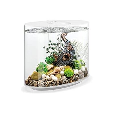 biOrb Loop 30 LED Aquarium 30 litres Aquarium Kit complet avec système de filtration breveté, bassin en acrylique biOrb Loop 30 LED Aquarium 30 litres Aquarium Kit complet avec système de filtration breveté, bassin en acrylique