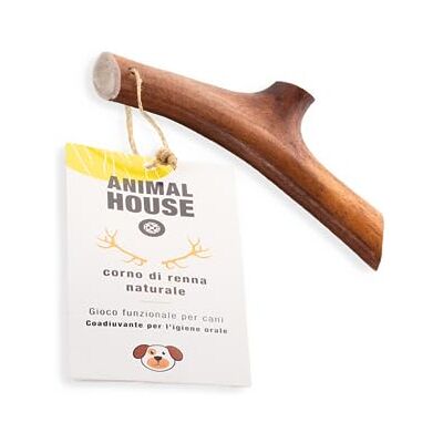 Animal House Bois de Renne pour Chien À Mâcher 100% Naturel Renforce l'Hygiène Buccale Résistant et Longue Durée Disponible dans Toutes Les Tailles Cruelty Free (XS) Animal House Bois de Renne pour Chien À Mâcher 100% Naturel Renforce l'Hygiène Buccale Résistant et Longue Durée Disponible dans Toutes Les Tailles Cruelty Free (XS)