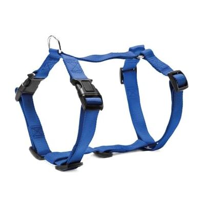 Record Harnais pour chien avec finition en plastique Réglable Modèle en H Fabriqué en nylon Taille L Circonférence 51-72 cm Couleur bleue Record Harnais pour chien avec finition en plastique Réglable Modèle en H Fabriqué en nylon Taille L Circonférence 51-72 cm Couleur bleue