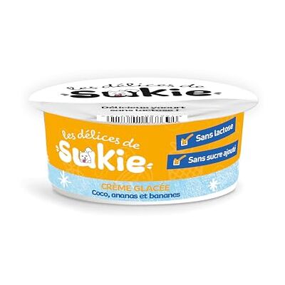 Riga Les Delices De Sukie Glace Friandises Chien Crème Glacée Aromatisée Coco, Ananas et Banane Yaourt Pasteurisé sans Lactose, Sucre Ajouté Gourmandise Naturelle Savoureuse 110 g Riga Les Delices De Sukie Glace Friandises Chien Crème Glacée Aromatisée Coco, Ananas et Banane Yaourt Pasteurisé sans Lactose, Sucre Ajouté Gourmandise Naturelle Savoureuse 110 g