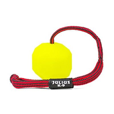 Julius-K9 Balle fluorescente IDC Néon, 60 mm, Jaune Fluo Julius-K9 Balle fluorescente IDC Néon, 60 mm, Jaune Fluo