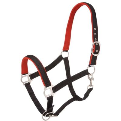 Tough 1 Licol rembourré en nylon avec matériel en satin, pour cheval, noir Tough 1 Licol rembourré en nylon avec matériel en satin, pour cheval, noir