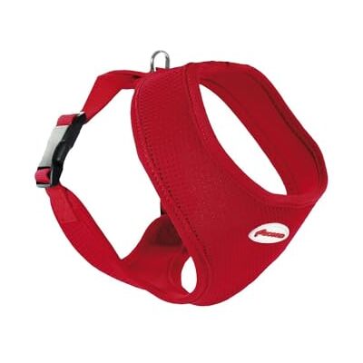 Record Harnais Fast Dog Fabriqué en nylon souple, flexible et respirant Crochet pour laisse en métal Couleur rouge Taille 2XS Circonférence 18-23 cm Record Harnais Fast Dog Fabriqué en nylon souple, flexible et respirant Crochet pour laisse en métal Couleur rouge Taille 2XS Circonférence 18-23 cm