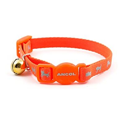 Ancol Haute visibilité de sécurité Collier pour Chaton, Orange Fluo Ancol Haute visibilité de sécurité Collier pour Chaton, Orange Fluo
