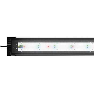 Juwel Aquarium Rampe LED Helialux Spectrum 80cm 32w pour Aquarium pour Aquariophilie Rampe Helialux Spectrum 48908 Juwel Aquarium Rampe LED Helialux Spectrum 80cm 32w pour Aquarium pour Aquariophilie Rampe Helialux Spectrum 48908