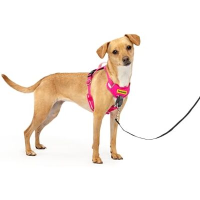 PetSafe Easy Walk Harnais confortable anti-traction pour chien Rembourrage intégral – Meilleure promenade à la première utilisation – 5 points de réglage pour chiens de taille XS, S, M et L, bleu/noir PetSafe Easy Walk Harnais confortable anti-traction pour chien Rembourrage intégral – Meilleure promenade à la première utilisation – 5 points de réglage pour chiens de taille XS, S, M et L, bleu/noir