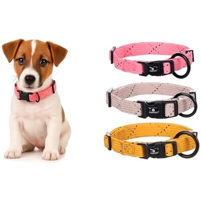 FLAMINGO Collier pour Chiot Dolly Rose S 30-45cm 15mm avec Boucle à clic et Bandes réfléchissantes FLAMINGO Collier pour Chiot Dolly Rose S 30-45cm 15mm avec Boucle à clic et Bandes réfléchissantes