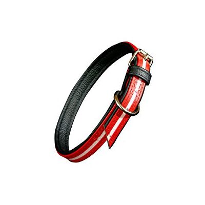 Collier Lumino Julius K9 - XL, 55-65cm, Rouge Collier Lumino Julius K9 - XL, 55-65cm, Rouge