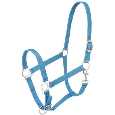 Tough 1 Licol en nylon avec matériel satiné, turquoise, cheval Tough 1 Licol en nylon avec matériel satiné, turquoise, cheval