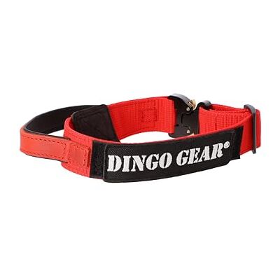 DINGO GEAR WWW.DINGOGEAR.COM 1977 Dingo Gear S03925 Cobra Collier pour chien avec boucle de sécurité professionnelle, poignée solide et étiquette attachée avec fermeture Velcro, pour dressage de défense, tâches spéciales, tour de cou DINGO GEAR WWW.DINGOGEAR.COM 1977 Dingo Gear S03925 Cobra Collier pour chien avec boucle de sécurité professionnelle, poignée solide et étiquette attachée avec fermeture Velcro, pour dressage de défense, tâches spéciales, tour de cou