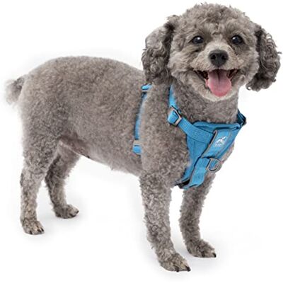Kurgo Tru-Fit Harnais intelligent pour chien avec boucles à dégagement rapide et anneau en D sur le devant pour un dressage sans traction avec attache de ceinture de sécurité pour chien Bleu Taille S Kurgo Tru-Fit Harnais intelligent pour chien avec boucles à dégagement rapide et anneau en D sur le devant pour un dressage sans traction avec attache de ceinture de sécurité pour chien Bleu Taille S