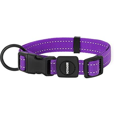 Best Pet Supplies Voyager Reflective Dog Leash or Collar with Neoprene Handle, for Small, Medium, and Large Breed Puppies, Cute and Heavy Duty for Walking, Running and Training Purple, S Best Pet Supplies Voyager Reflective Dog Leash or Collar with Neoprene Handle, for Small, Medium, and Large Breed Puppies, Cute and Heavy Duty for Walking, Running and Training Purple, S