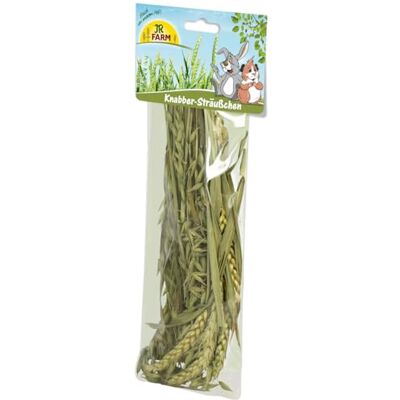 JR Farm Bouquet à grignoter 25 g JR Farm Bouquet à grignoter 25 g