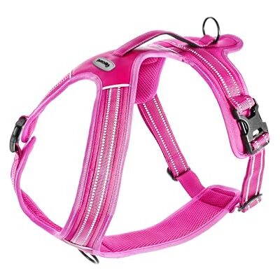 Record Harnais pour chien Action Alpes Couleur Fuchsia Taille XL Matière : Nylon Tressé avec Bandes Réfléchissantes 3M ScotchLite Circonférence 90-125 cm Record Harnais pour chien Action Alpes Couleur Fuchsia Taille XL Matière : Nylon Tressé avec Bandes Réfléchissantes 3M ScotchLite Circonférence 90-125 cm