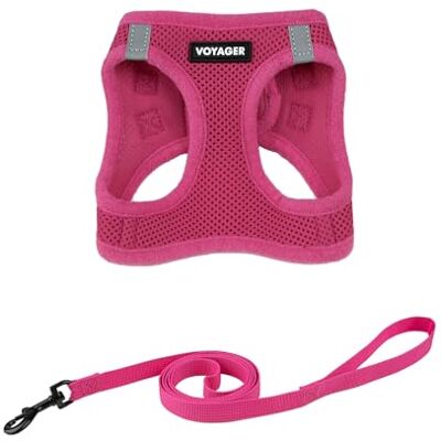 Best Pet Supplies Voyager Step-in Air Ensemble harnais en maille résistante aux intempéries pour chats de petite et grande taille, fuchsia, taille XXXS (tour de poitrine 27,9 à 30,5 cm) Best Pet Supplies Voyager Step-in Air Ensemble harnais en maille résistante aux intempéries pour chats de petite et grande taille, fuchsia, taille XXXS (tour de poitrine 27,9 à 30,5 cm)