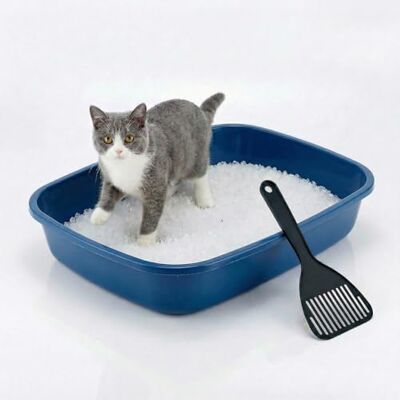 Animal House Bac à Litière pour Chat sans Bord, Bac Hygiénique Ouvert avec Pelle Incluse, Taille M 37 x 27 x 8,5 cm, Toilette pour Chat en Plastique Résistant, Pratique et Hygiénique Animal House Bac à Litière pour Chat sans Bord, Bac Hygiénique Ouvert avec Pelle Incluse, Taille M 37 x 27 x 8,5 cm, Toilette pour Chat en Plastique Résistant, Pratique et Hygiénique