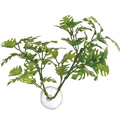 Plante Betta Fenêtre de Zoo Med - Plante d'aquarium Plante Betta Fenêtre de Zoo Med - Plante d'aquarium