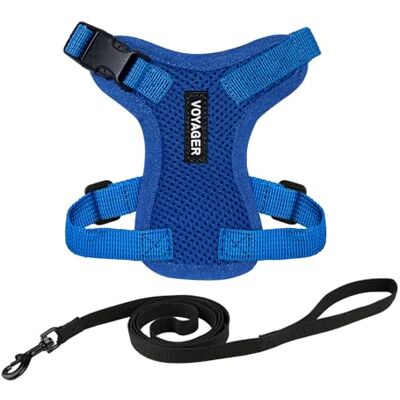 Best Pet Supplies Voyager Step-in Lock Harnais pour chat et laisse réfléchissante avec poignée en néoprène de la marque Prend en charge les races de chats de petite, moyenne et grande taille Bleu Best Pet Supplies Voyager Step-in Lock Harnais pour chat et laisse réfléchissante avec poignée en néoprène de la marque Prend en charge les races de chats de petite, moyenne et grande taille Bleu