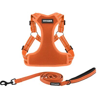 Best Pet Supplies Voyager Ensemble harnais réglable pour chien avec bandes réfléchissantes pour la marche, gilet intégral anti-traction avec anneau en D, respirant toutes saisons, harnais (orange), Best Pet Supplies Voyager Ensemble harnais réglable pour chien avec bandes réfléchissantes pour la marche, gilet intégral anti-traction avec anneau en D, respirant toutes saisons, harnais (orange),