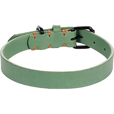 FLAMINGO COLLIIER LEANO Vert M/L 38-48CM 25MM FLAMINGO COLLIIER LEANO Vert M/L 38-48CM 25MM