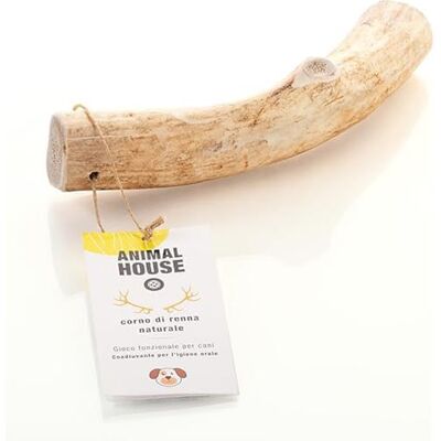 Animal House Bois de Renne pour Chien À Mâcher 100% Naturel Renforce l'Hygiène Buccale Résistant et Longue Durée Disponible dans Toutes Les Tailles Cruelty Free (L) Animal House Bois de Renne pour Chien À Mâcher 100% Naturel Renforce l'Hygiène Buccale Résistant et Longue Durée Disponible dans Toutes Les Tailles Cruelty Free (L)