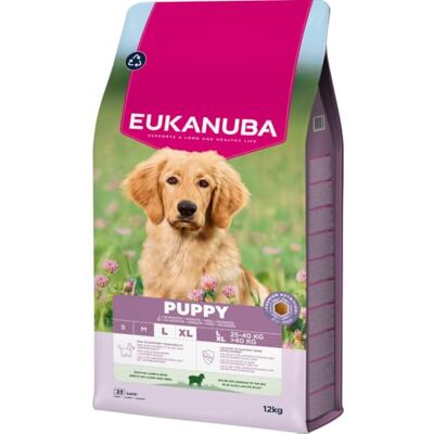 Eukanuba Nourriture pour Chiots à l’Agneau et au Riz pour Grandes Races, Nourriture sèche Premium pour Chiens Juniors, 12 kg Eukanuba Nourriture pour Chiots à l’Agneau et au Riz pour Grandes Races, Nourriture sèche Premium pour Chiens Juniors, 12 kg