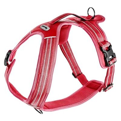 Record Harnais pour chien Action Alpes Couleur Rouge Taille XS Matière : Nylon Tressé avec Bandes Réfléchissantes 3M ScotchLite Circonférence 43-49 cm Record Harnais pour chien Action Alpes Couleur Rouge Taille XS Matière : Nylon Tressé avec Bandes Réfléchissantes 3M ScotchLite Circonférence 43-49 cm